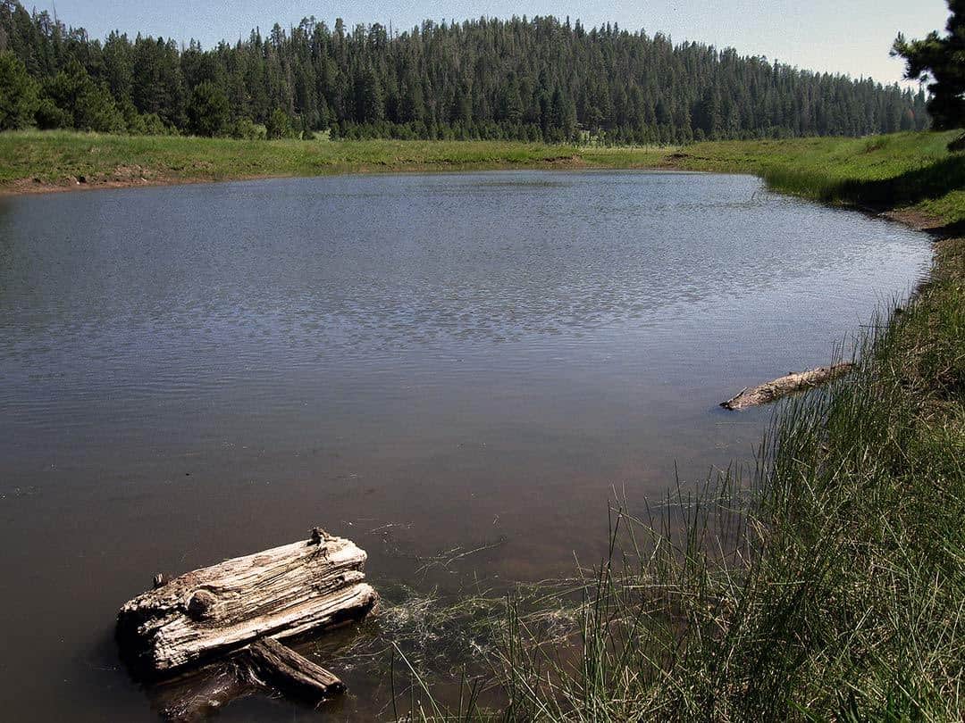 Dry-Lake-Hills-Hiking