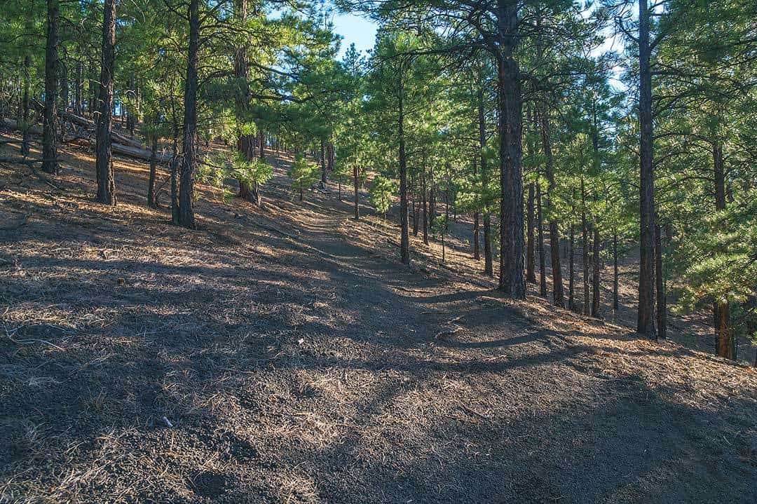 Lenox-Crater-Flagstaff-Trails