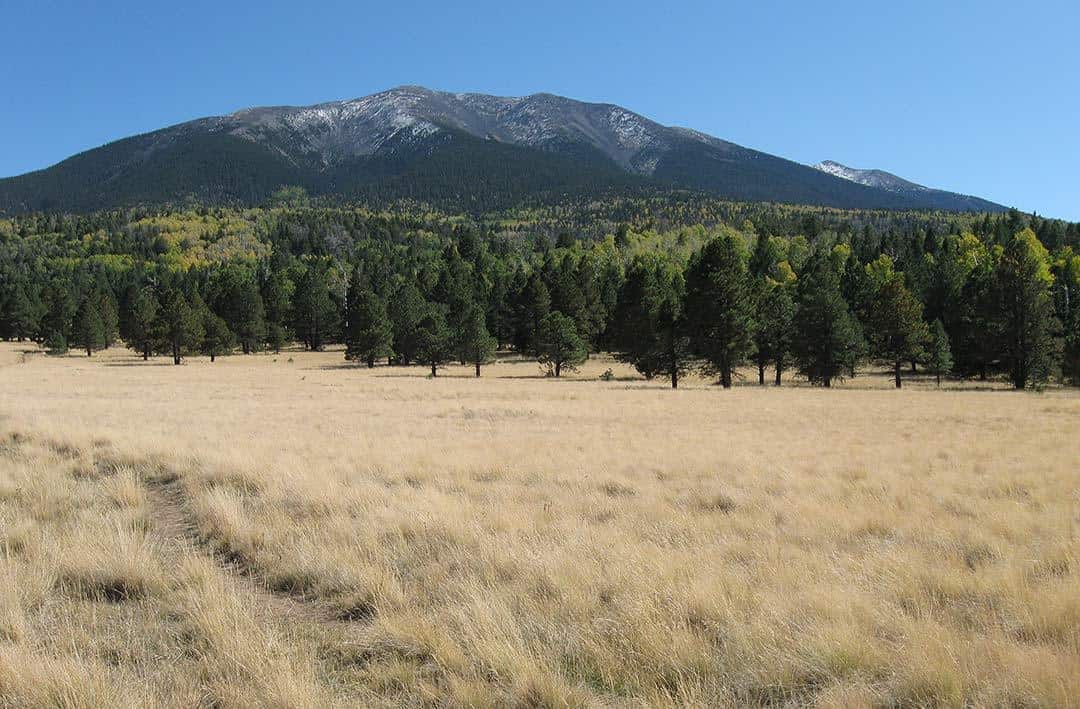 bismarck-lake-trail-flagstaff-az