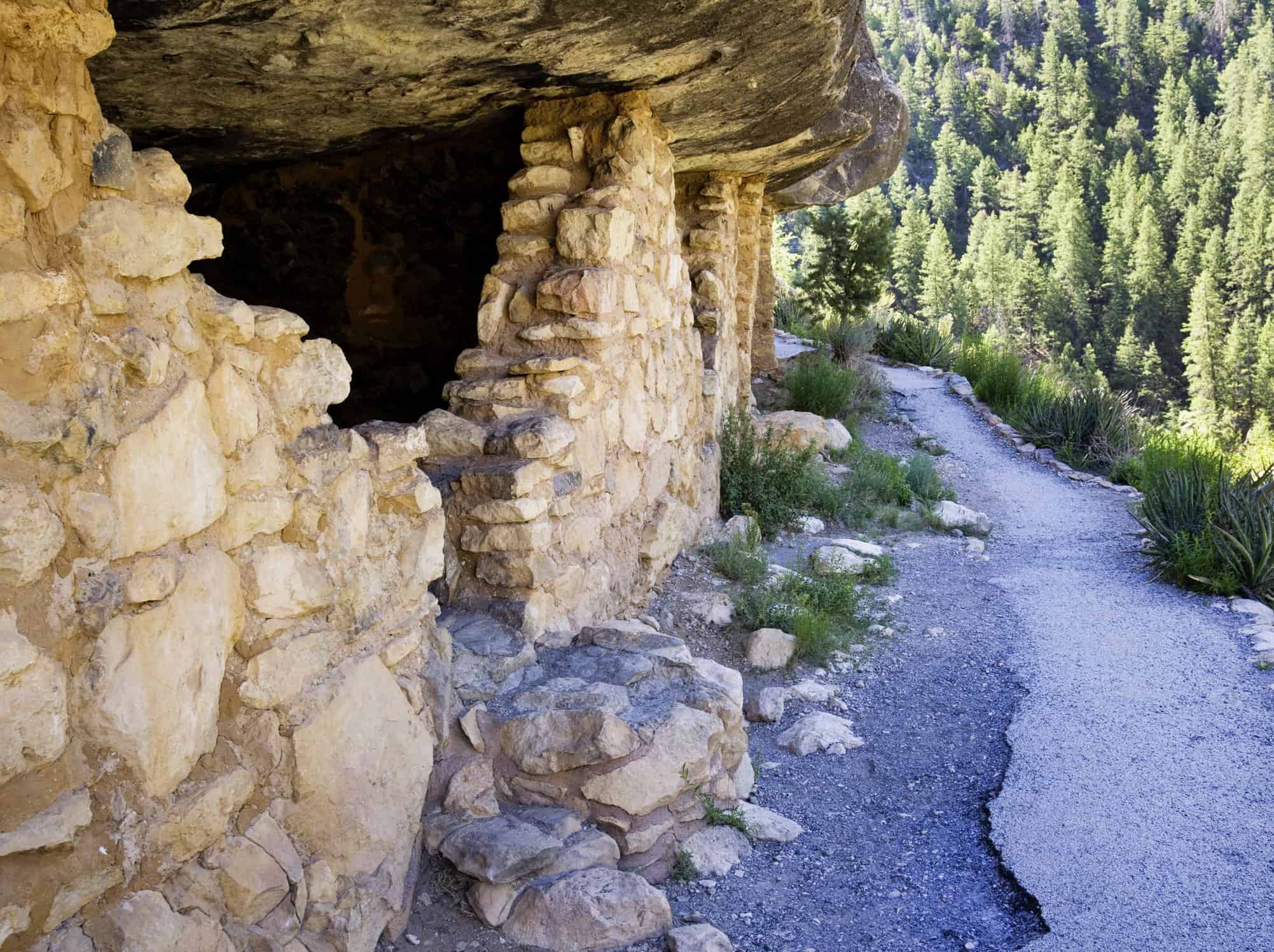 Inner-Basin-Trail-Flagstaff-Hikes