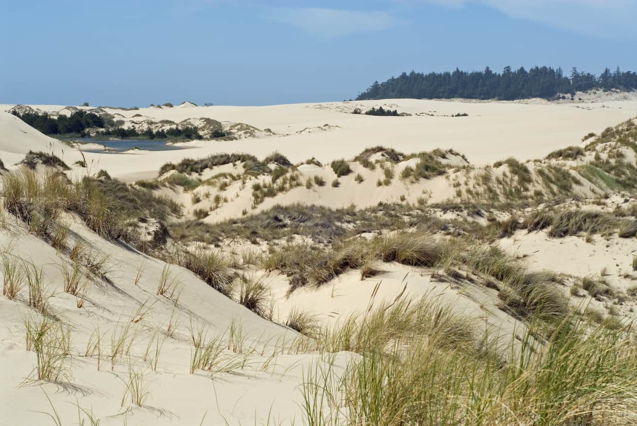 Oregon Dunes National Recreation Area