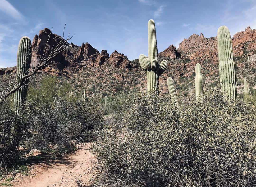 wave cave trail az