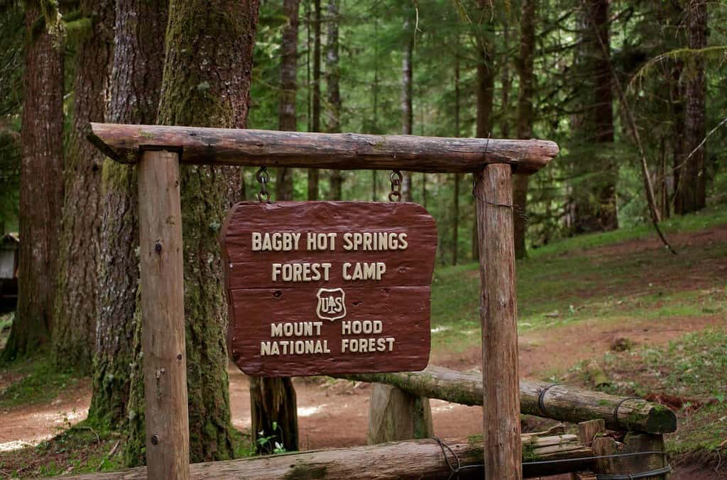 Bagby Hot Springs, Mt. Hood National Forest, Oregon