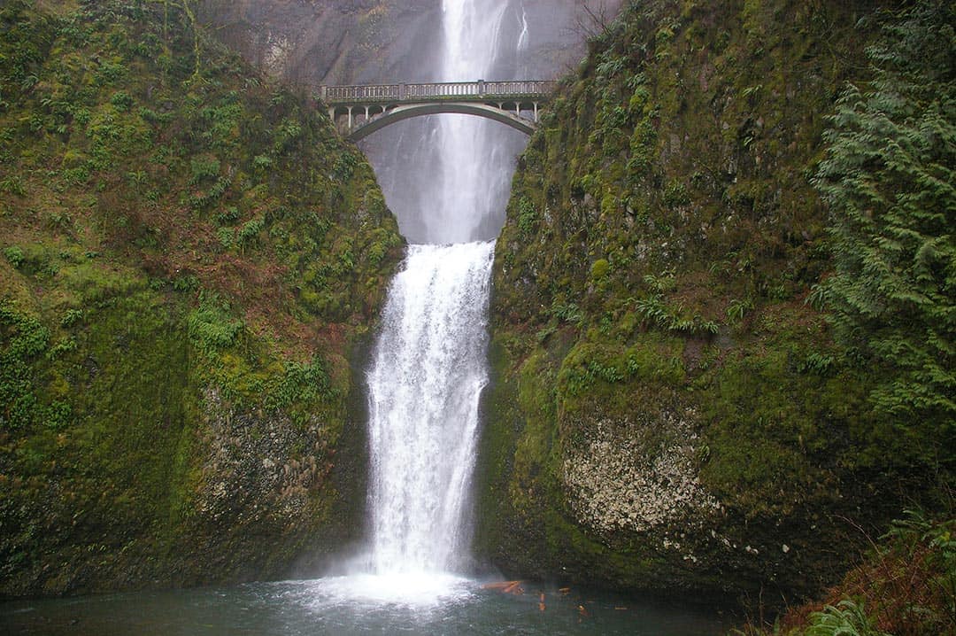 multnomah falls