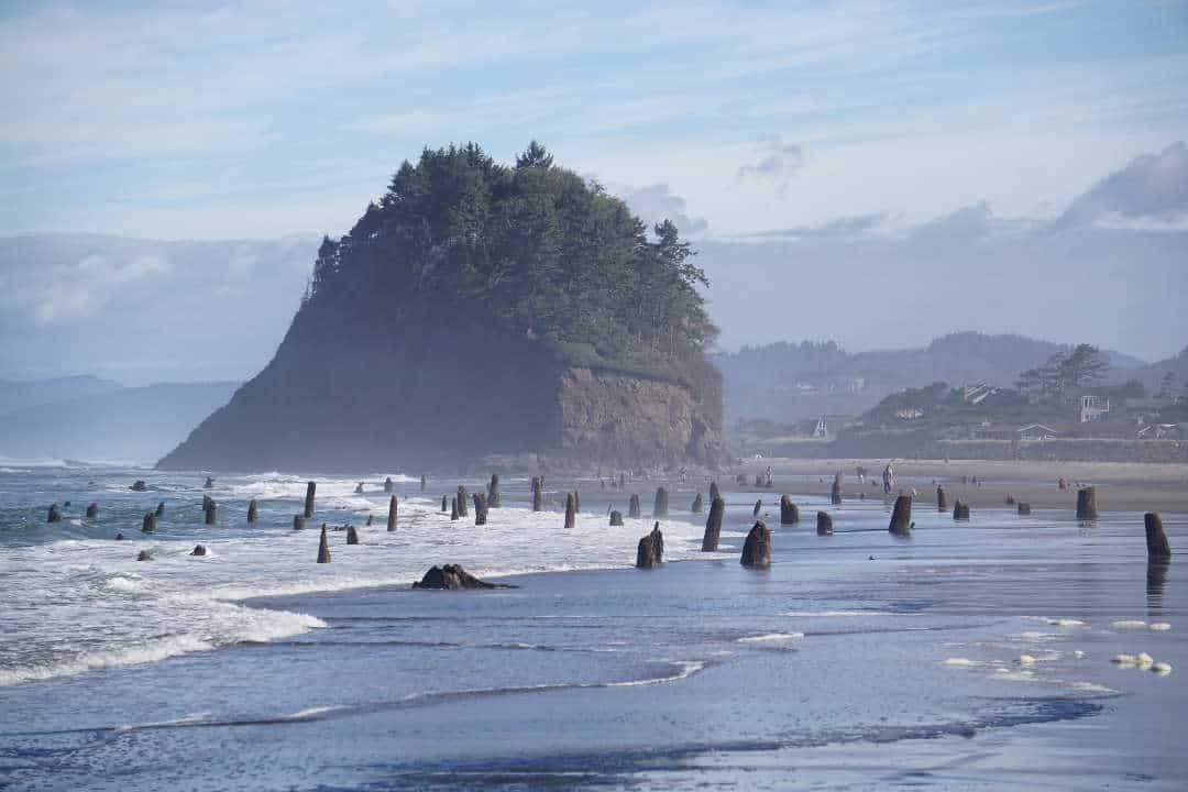 neskowin ghost forest