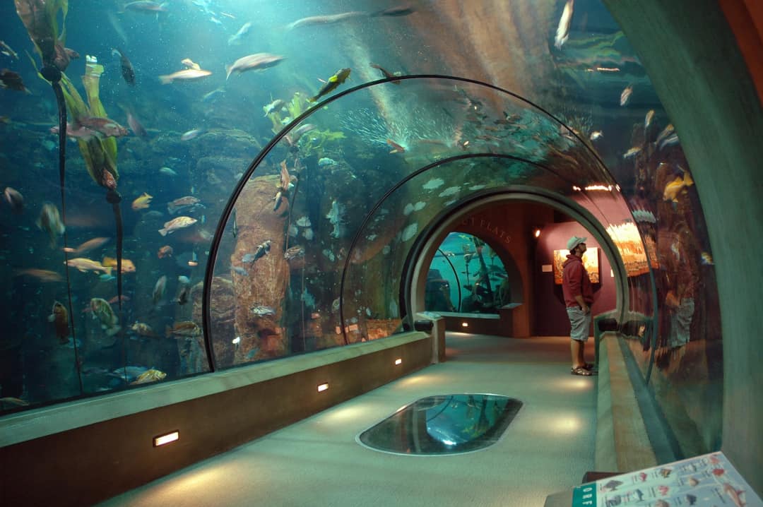 oregon coast aquarium