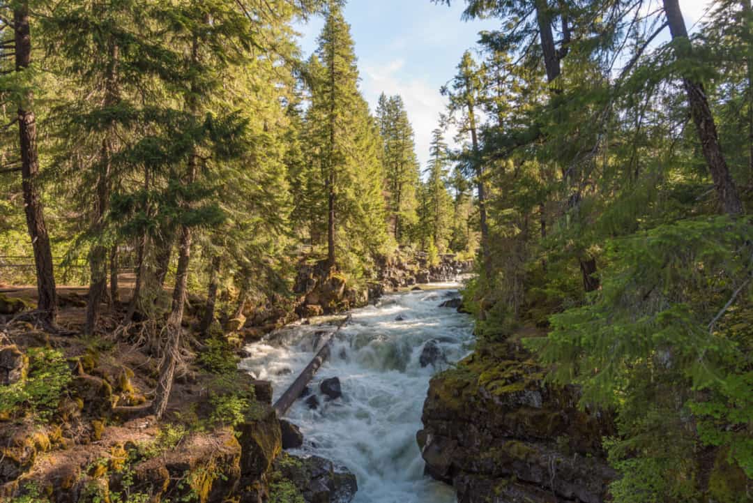 Rogue River-Siskiyou National Forest