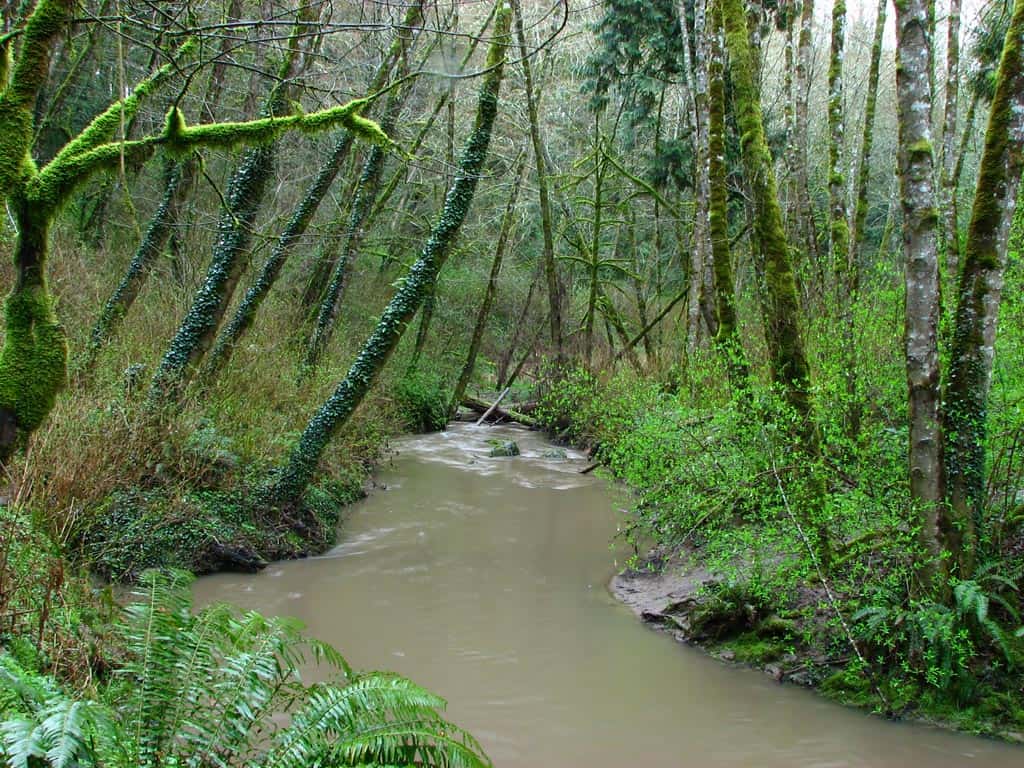 tryon creek natural area