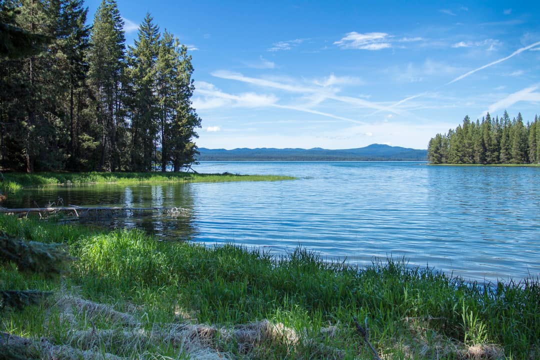 Crane Prairie Reservoir