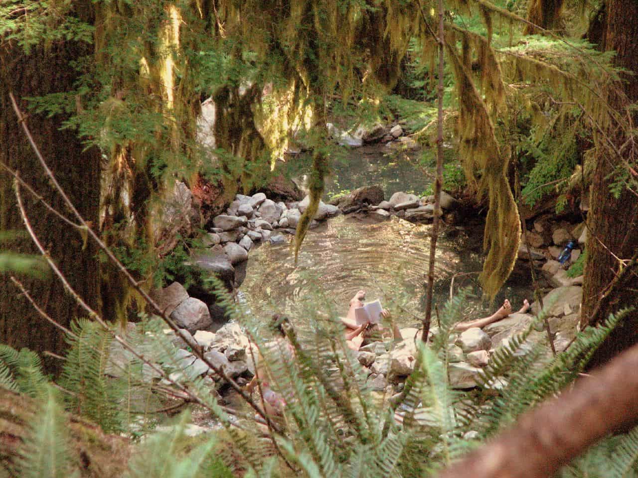 Terwilliger (AKA Cougar) Hot Springs