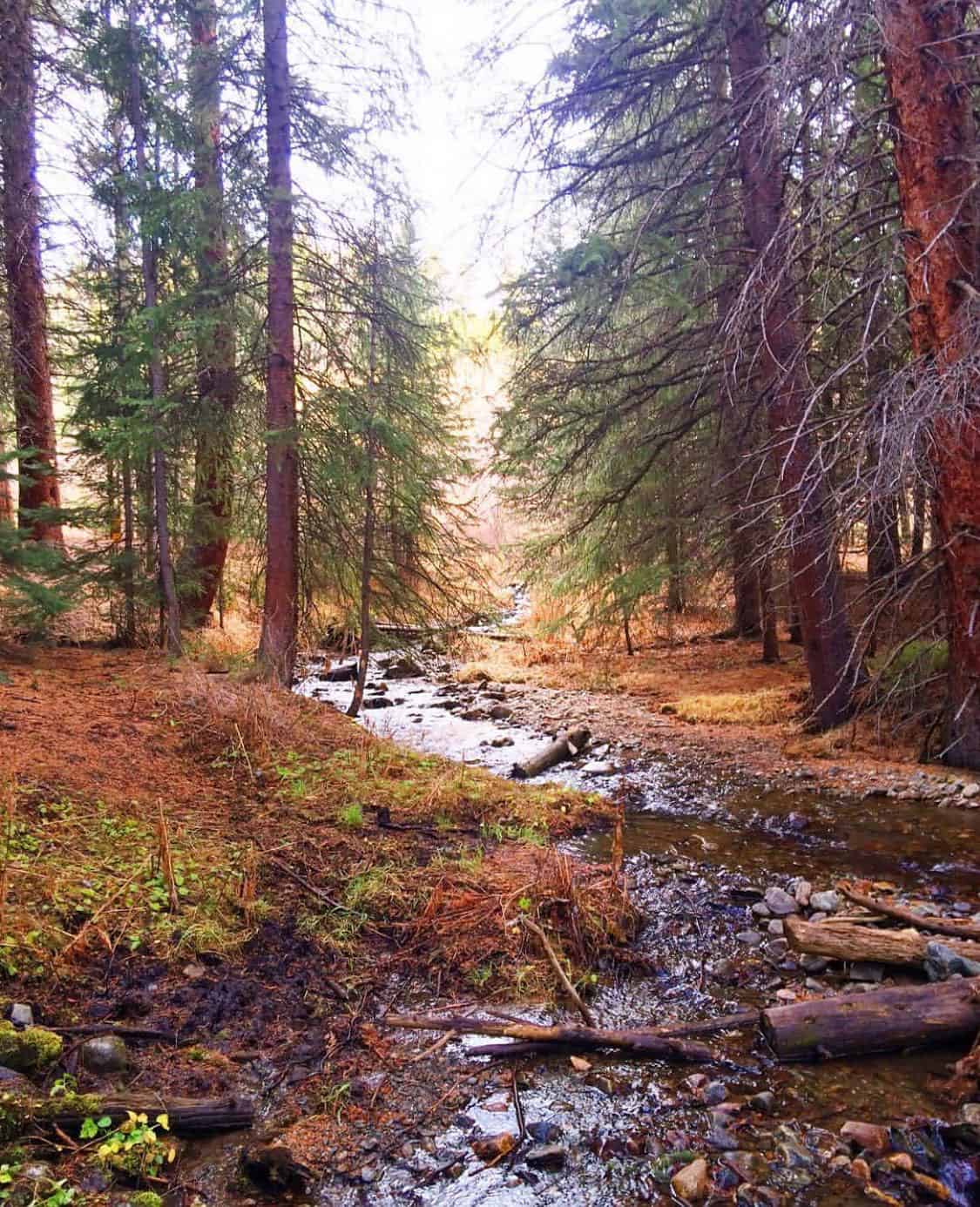 burro trail breckenridge