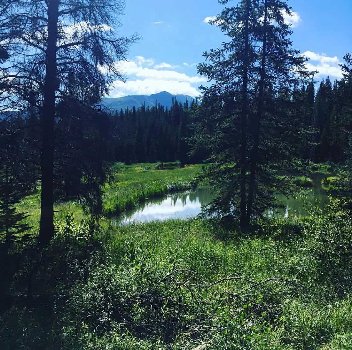 cucumber gulch breckenridge