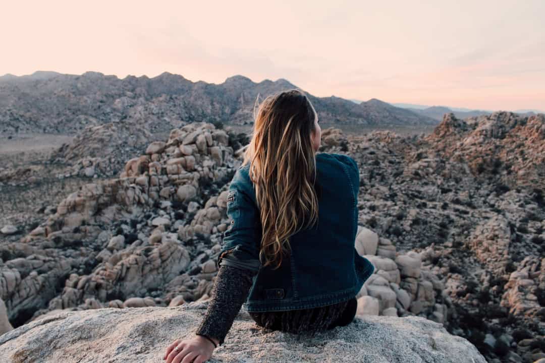 joshua tree views