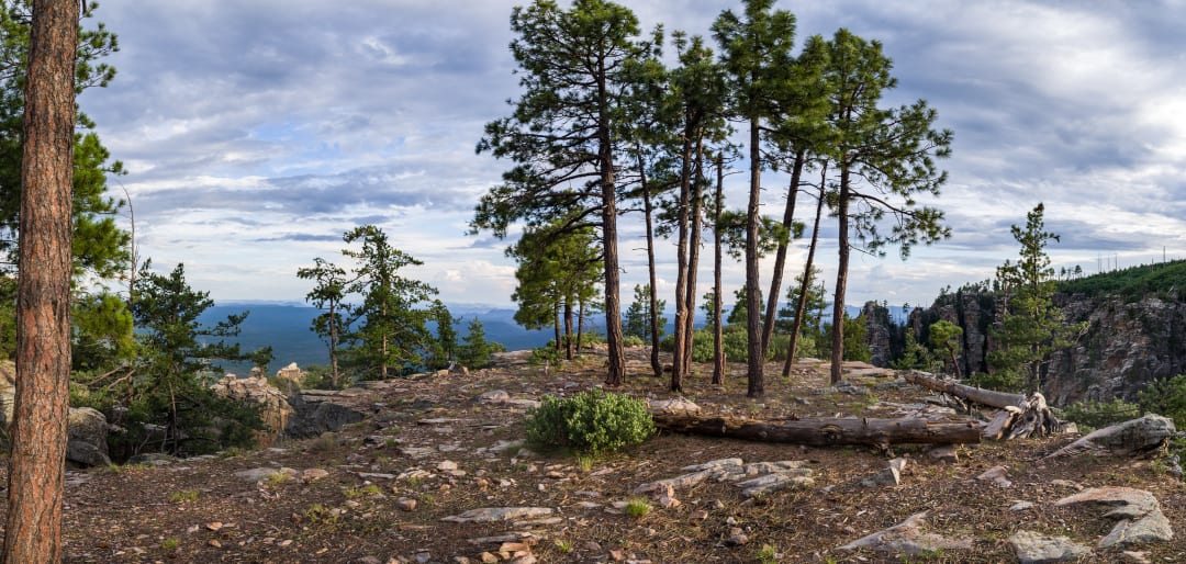 Mogollon Rim