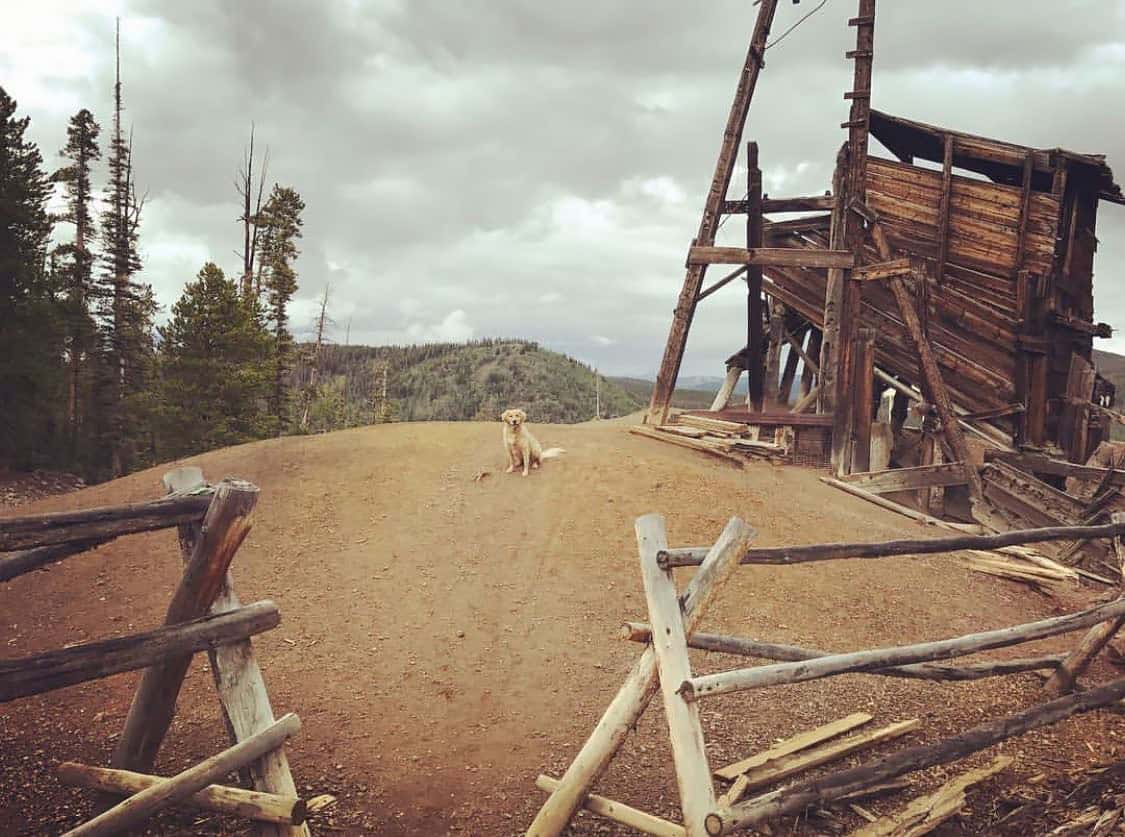 sally barber mine breckenridge