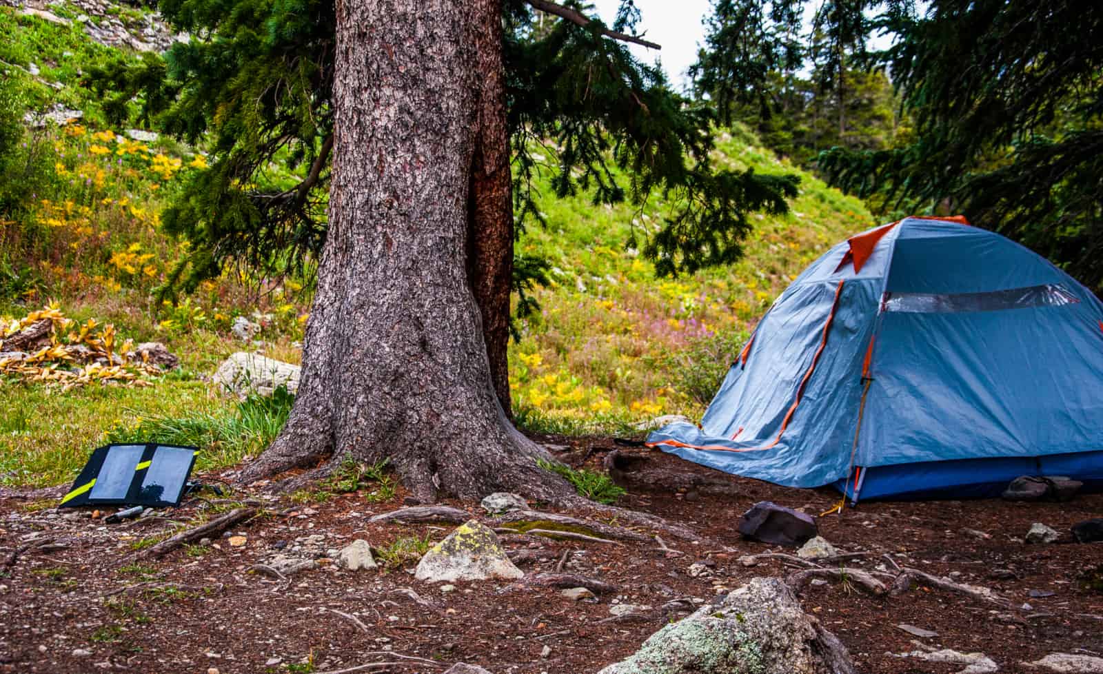 6 Best Camping Power Supply Options for Portable Power