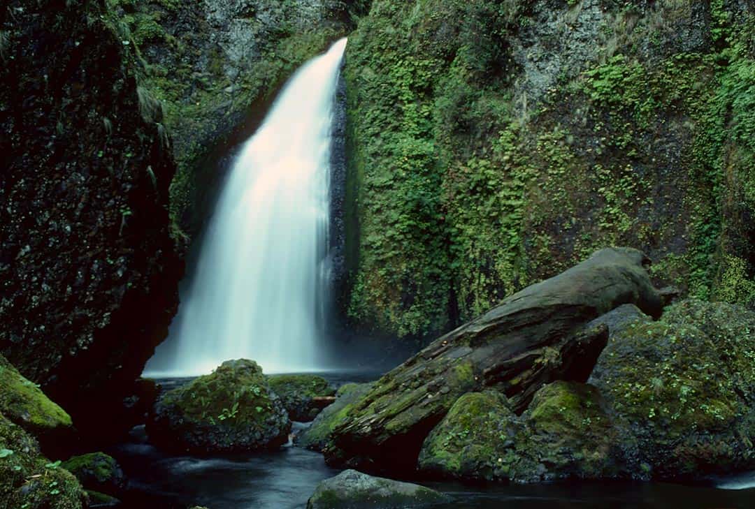 Columbia gorge waterfall hikes