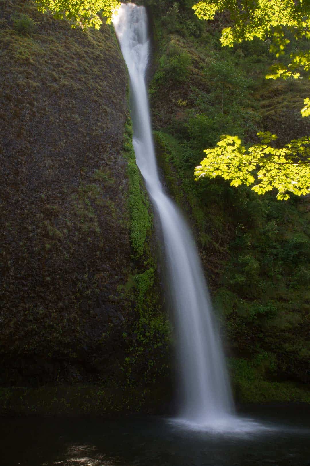 horsetail falls oregon