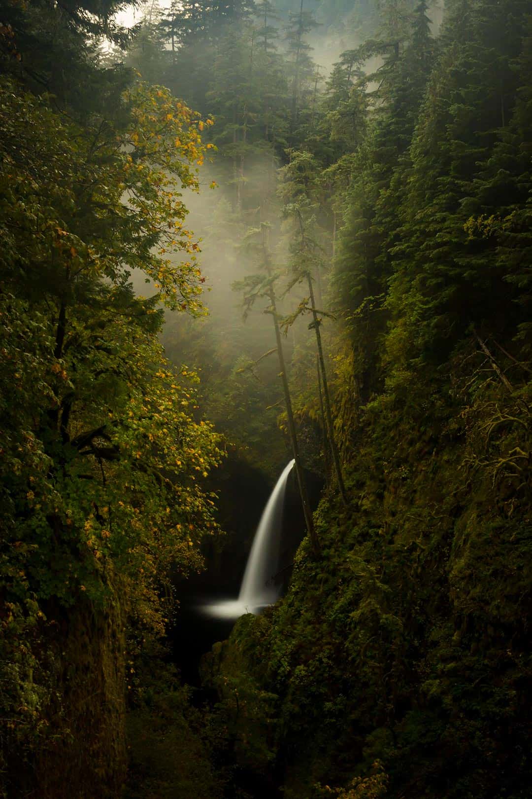 Columbia gorge waterfall hikes