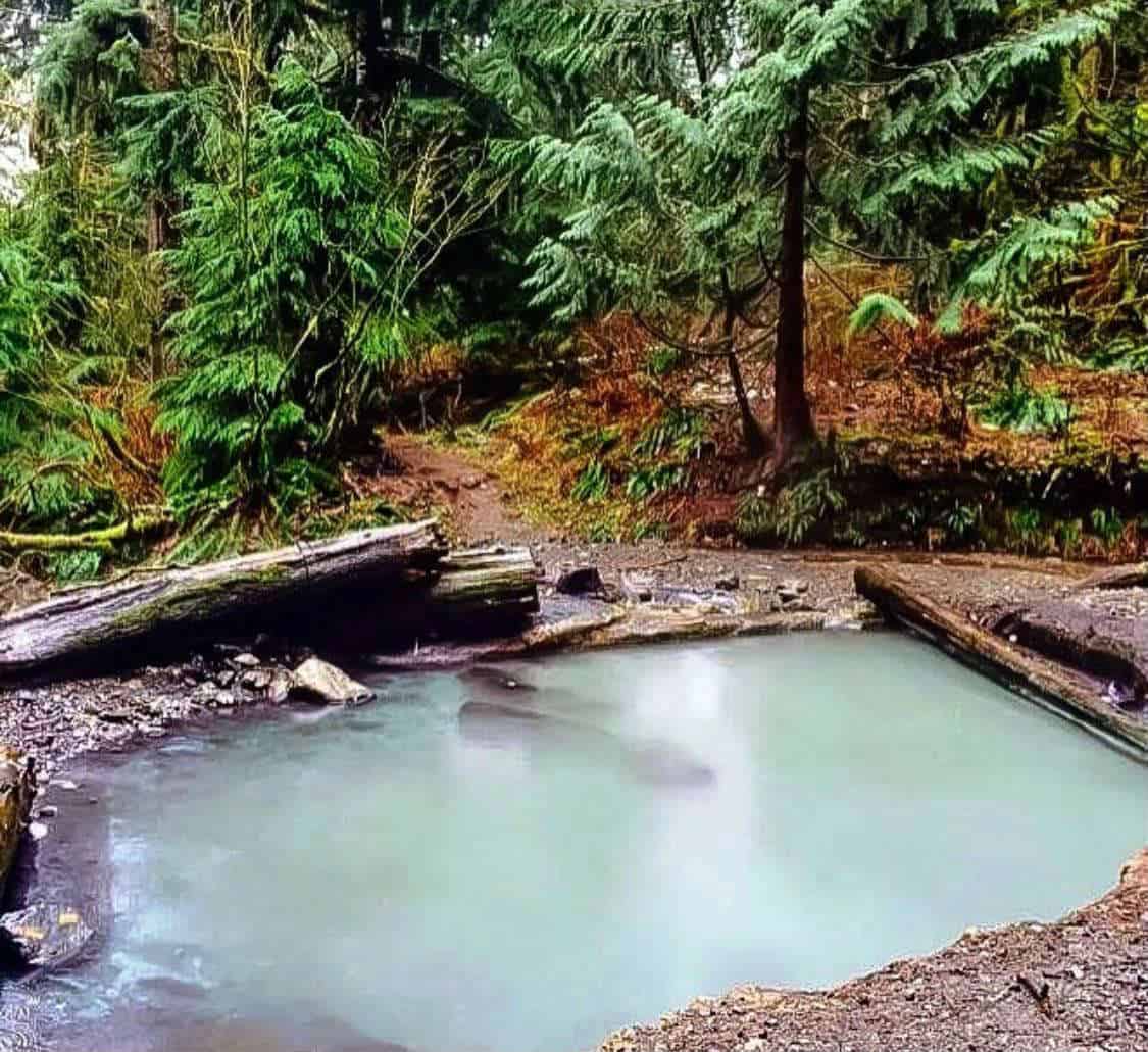 mount baker hot springs