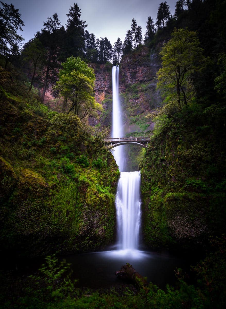 multnomah falls