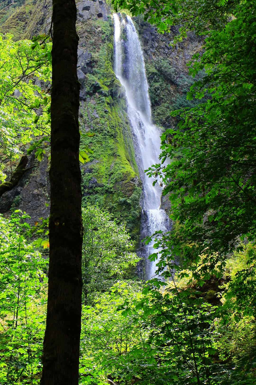 starvation creek falls