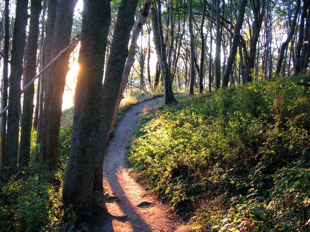 discovery park seattle