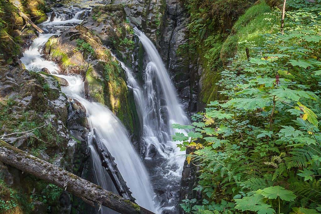 sol duc falls