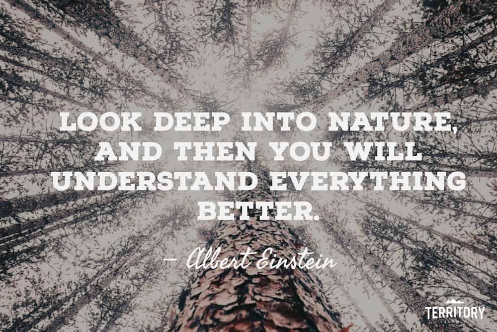 Camping quote albert einstein