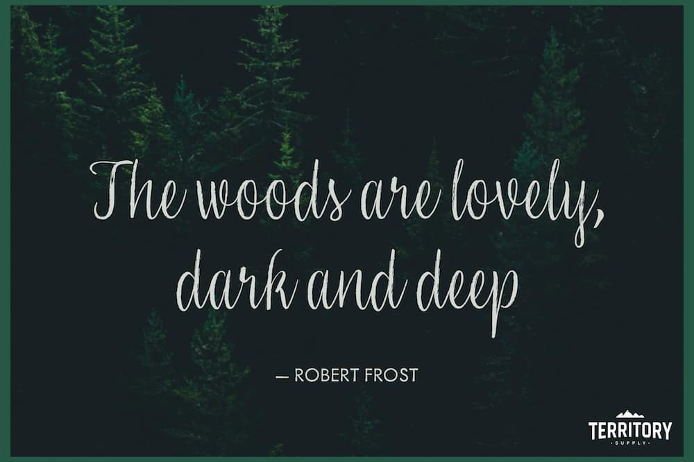 Robert Frost Quote