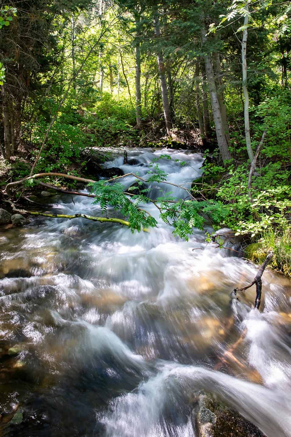 bells canyon