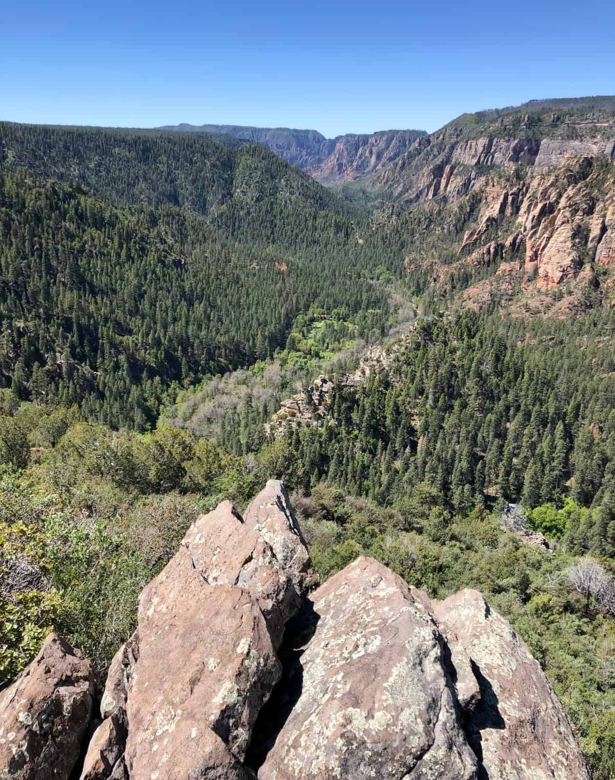 cookstove trail views