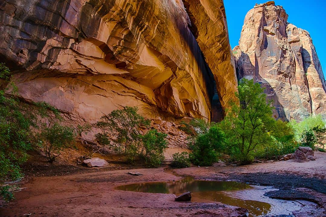 morning glory natural bridge