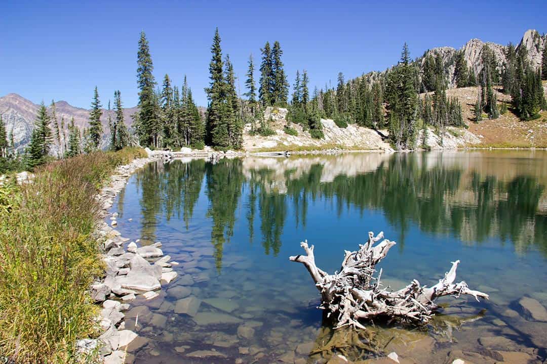 red pine lakes