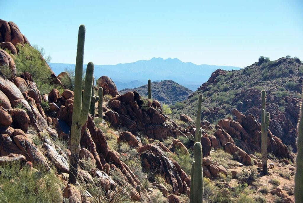 13 Best Hiking Trails Near Scottsdale, Arizona, Arizona | Territory Supply