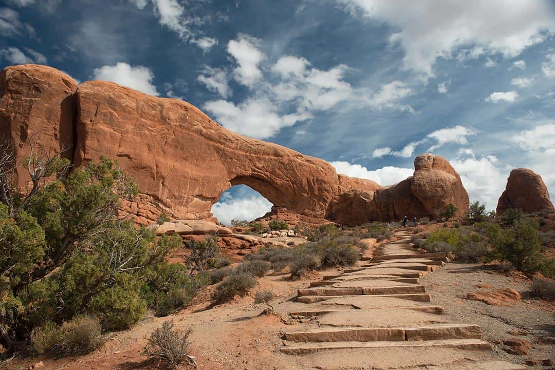 windows loop arches