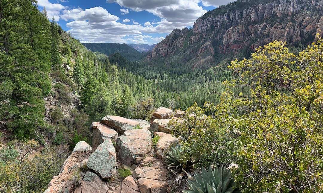 cookstove trail sedona