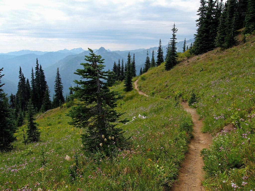 naches peak