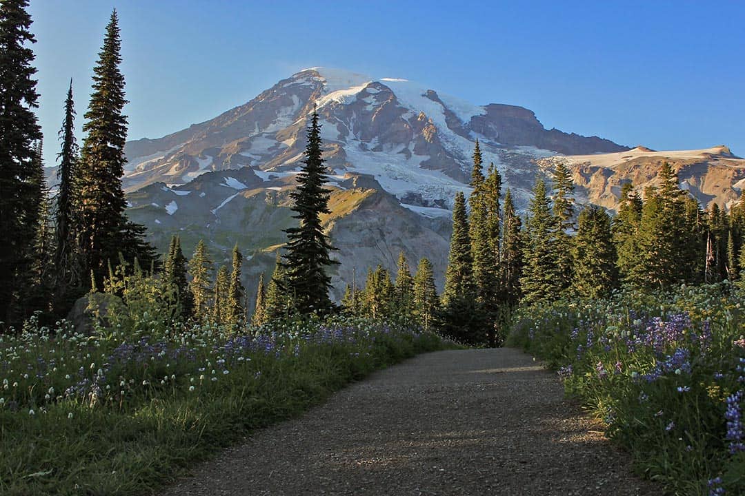 nisqually vista