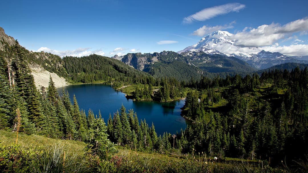 tolmie peak