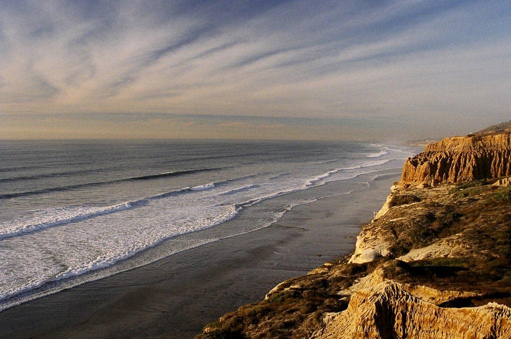 torrey pines