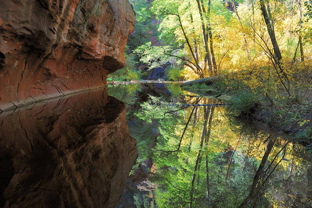 west fork trail sedona