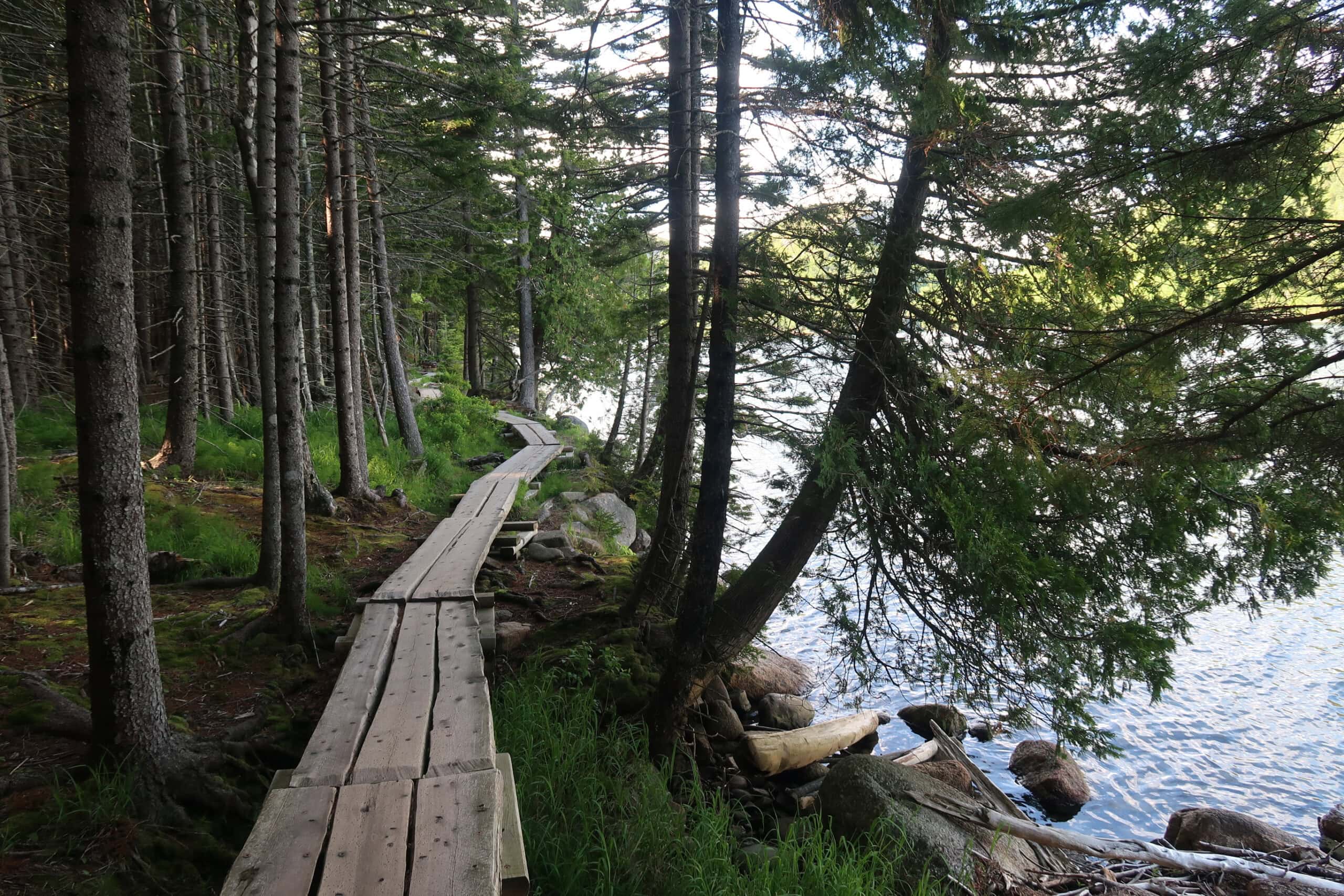 Jordan Pond Path with boardwalk