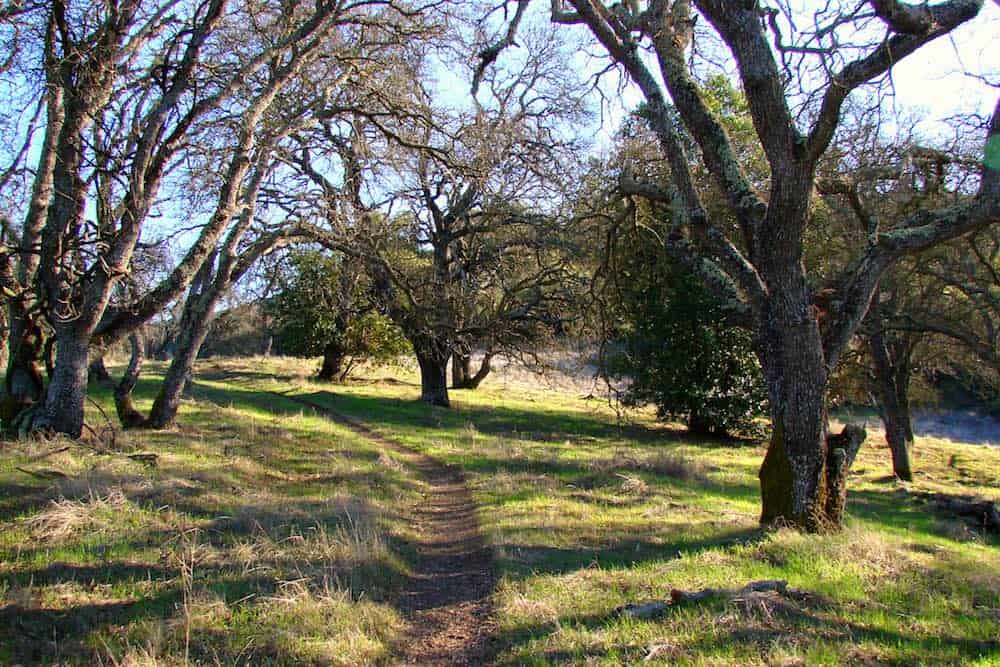 Almaden Quicksilver County Park