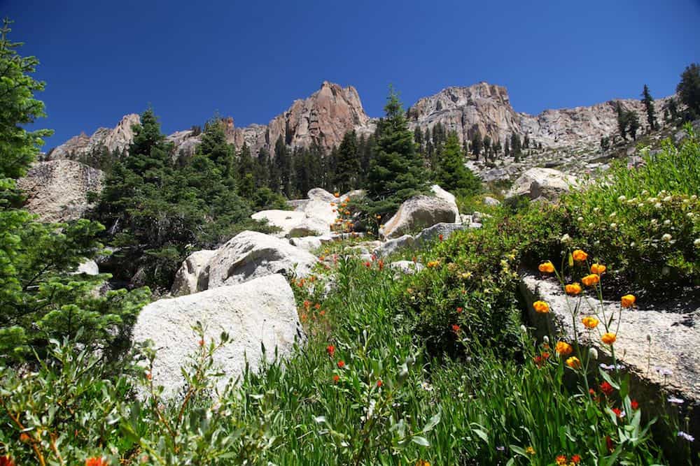 Alta Peak to Alta Meadow