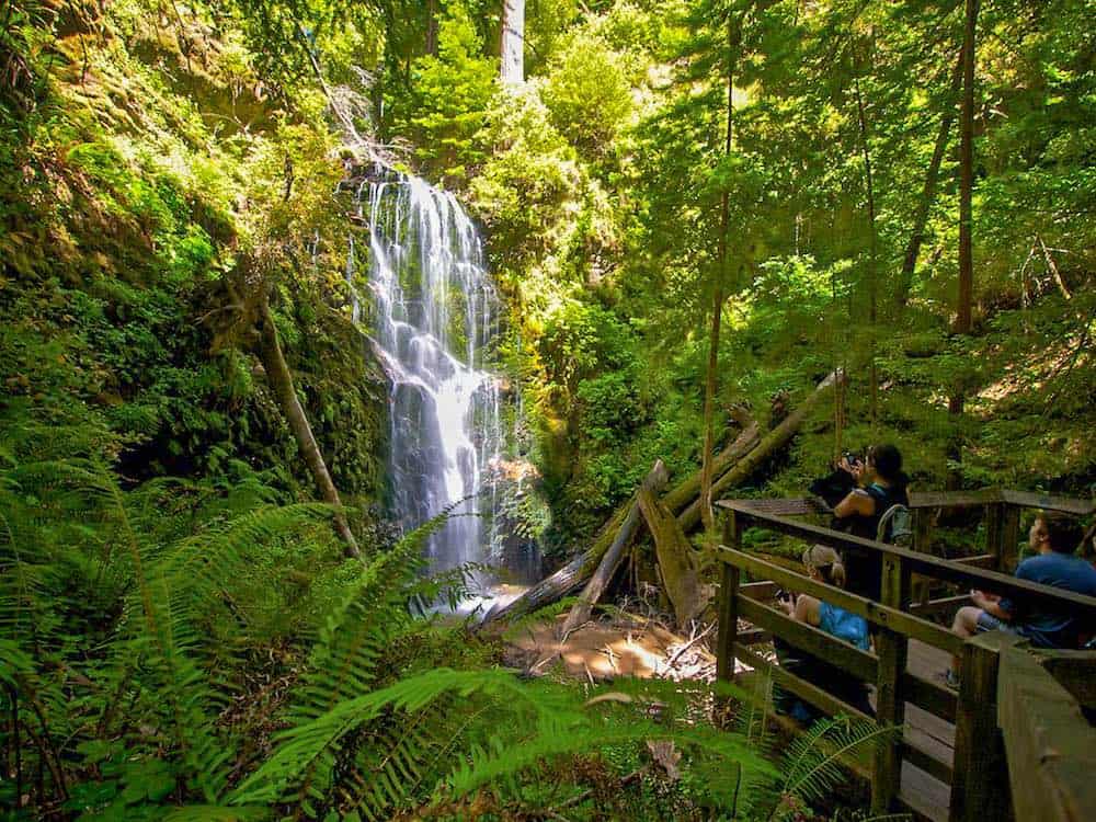 Berry Creek Falls