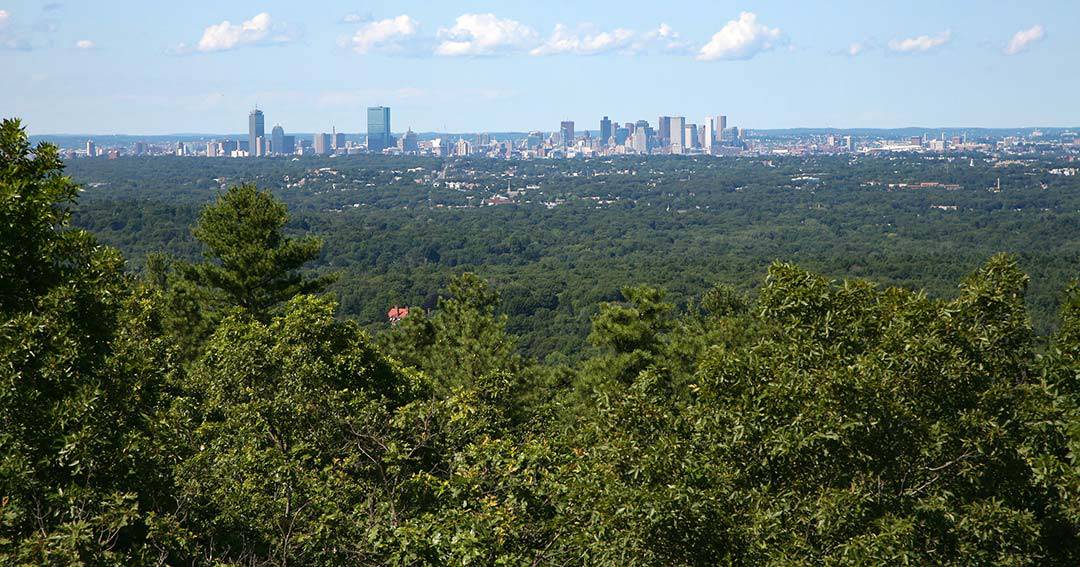 forest trips near boston