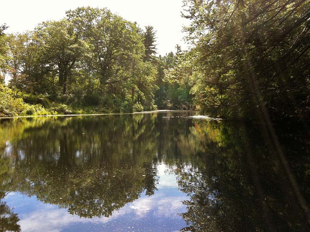 Maudslay State Park