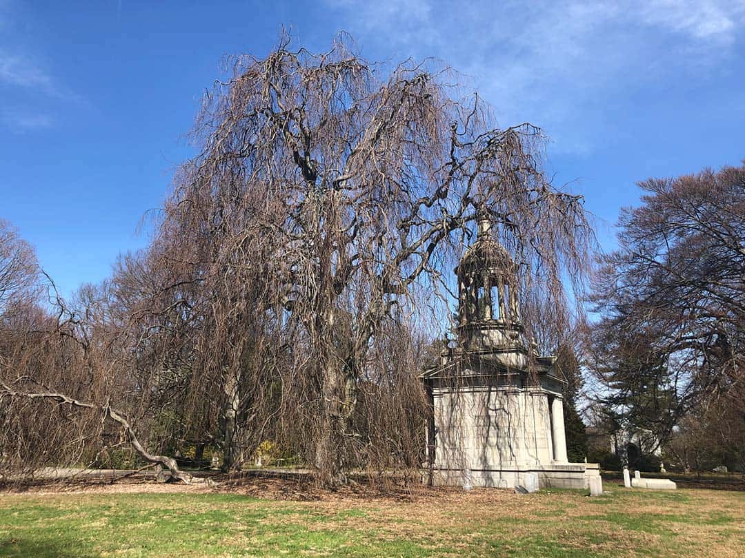 Mount Auburn Cemetery