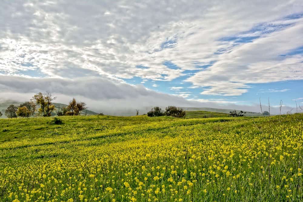 Santa Teresa County Park